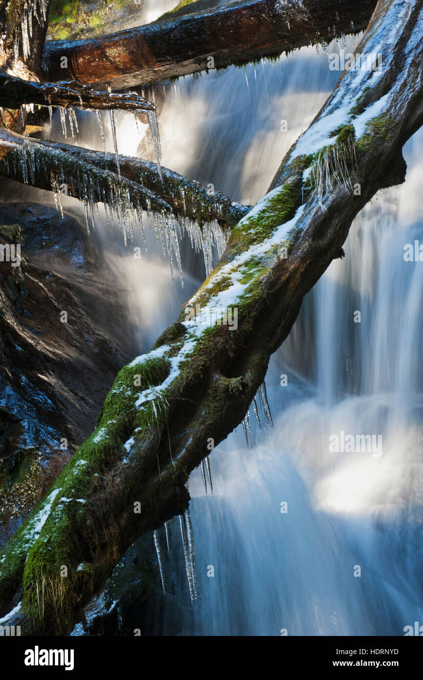 Waterfall with ice in the rainforest along the Herring Cove trail, near