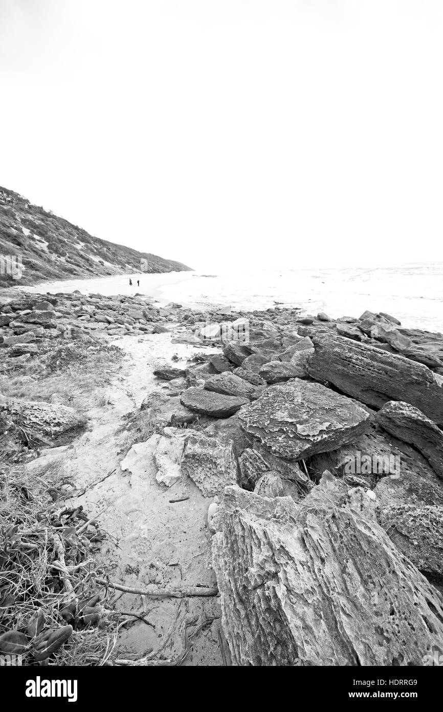 blur in south africa   sky ocean  isimagaliso reserve nature and rocks Stock Photo