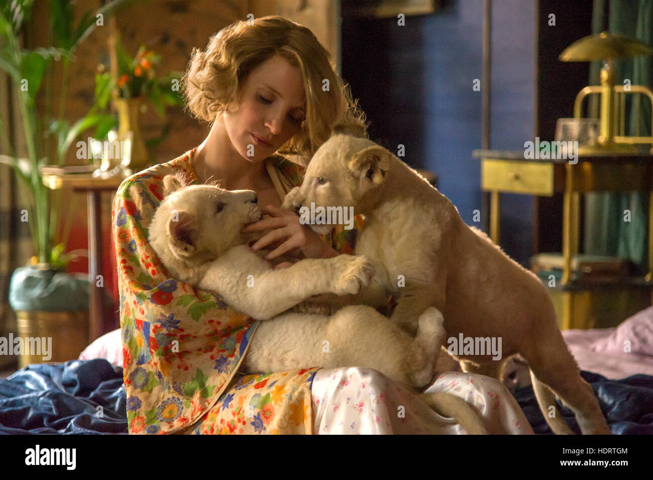 RELEASE DATE: March 3, 2017 TITLE: The Zookeeper's Wife STUDIO: Focus Features DIRECTOR: Niki Caro PLOT: The Zookeeper's Wife tells the account of keepers of the Warsaw Zoo, Antonina and Jan Zabinski, who helped save hundreds of people and animals during the Nazi invasion STARRING: Jessica Chastain as Antonina Zabinski (Credit: c Focus Features/Entertainment Pictures/) Stock Photo