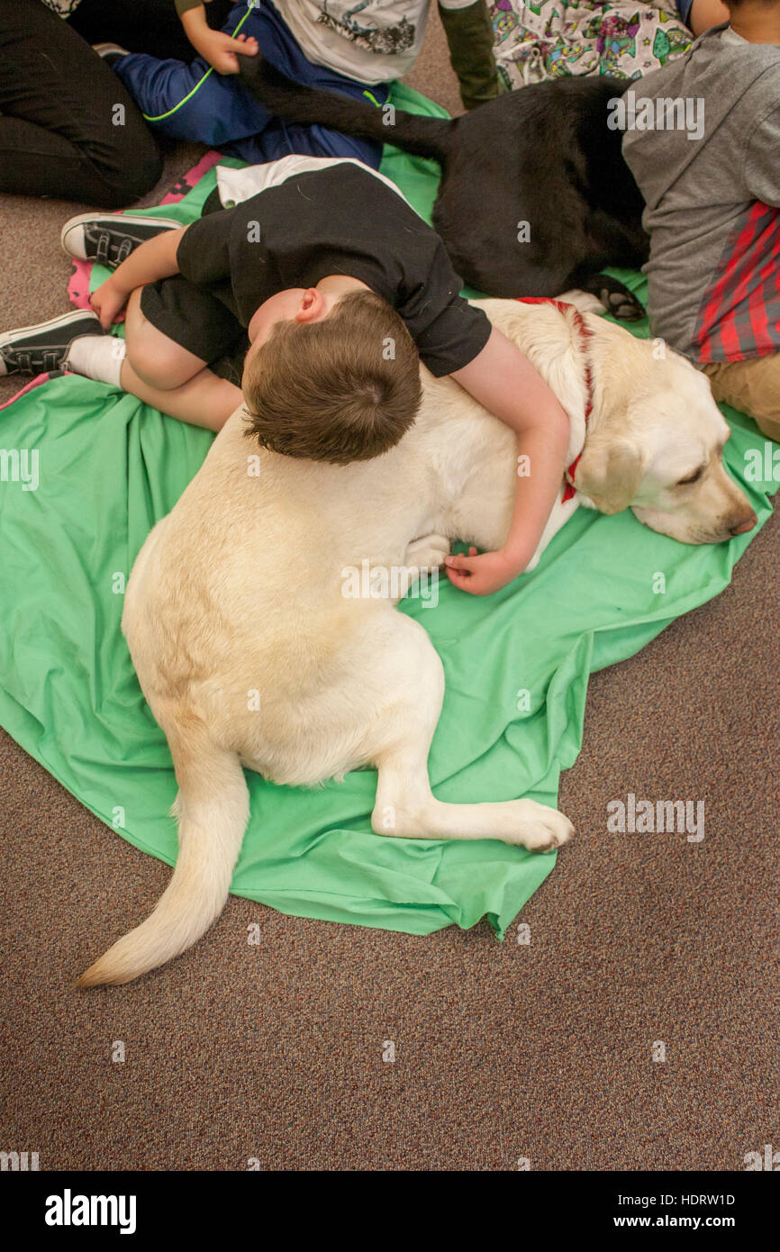 A boy hugs a therapy dog on the floor of an elementary school classroom in Mission Viejo, CA. Stock Photo