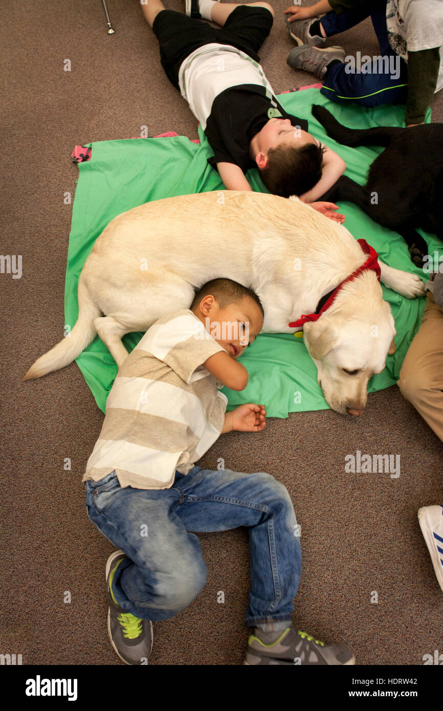 Multiracial young students hug a therapy dog on the floor of an elementary school classroom in Mission Viejo, CA. Stock Photo