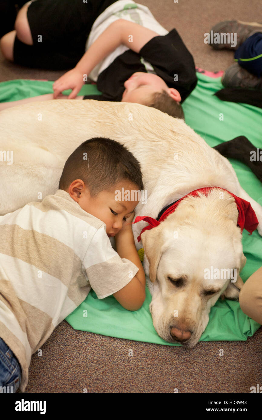 Multiracial young students hug a therapy dog on the floor of an elementary school classroom in Mission Viejo, CA. Stock Photo