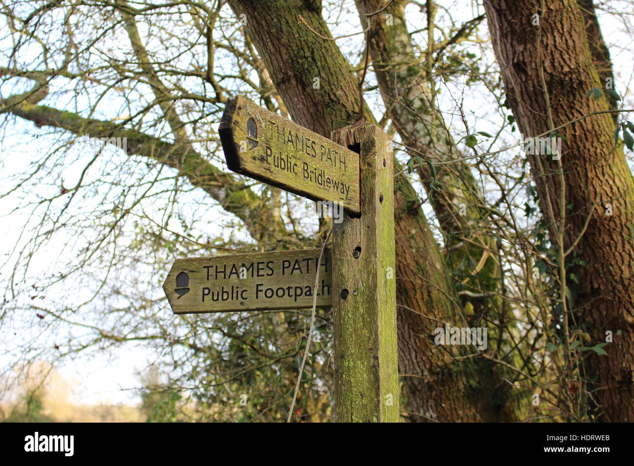 Thames Path sign signage oxfordshire public footpath countryside rambling walking hiking walk hike ramble Stock Photo