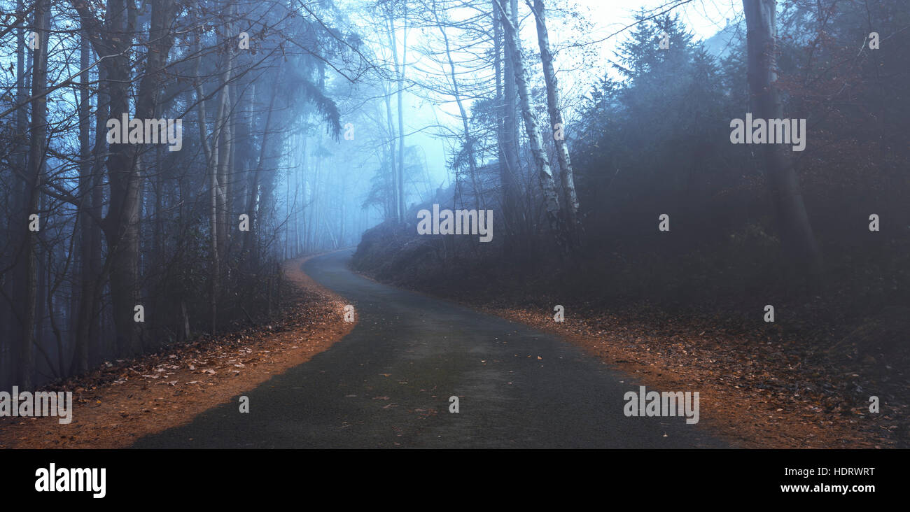 Empty Asphalt Road in Moody Misty Forest Stock Photo