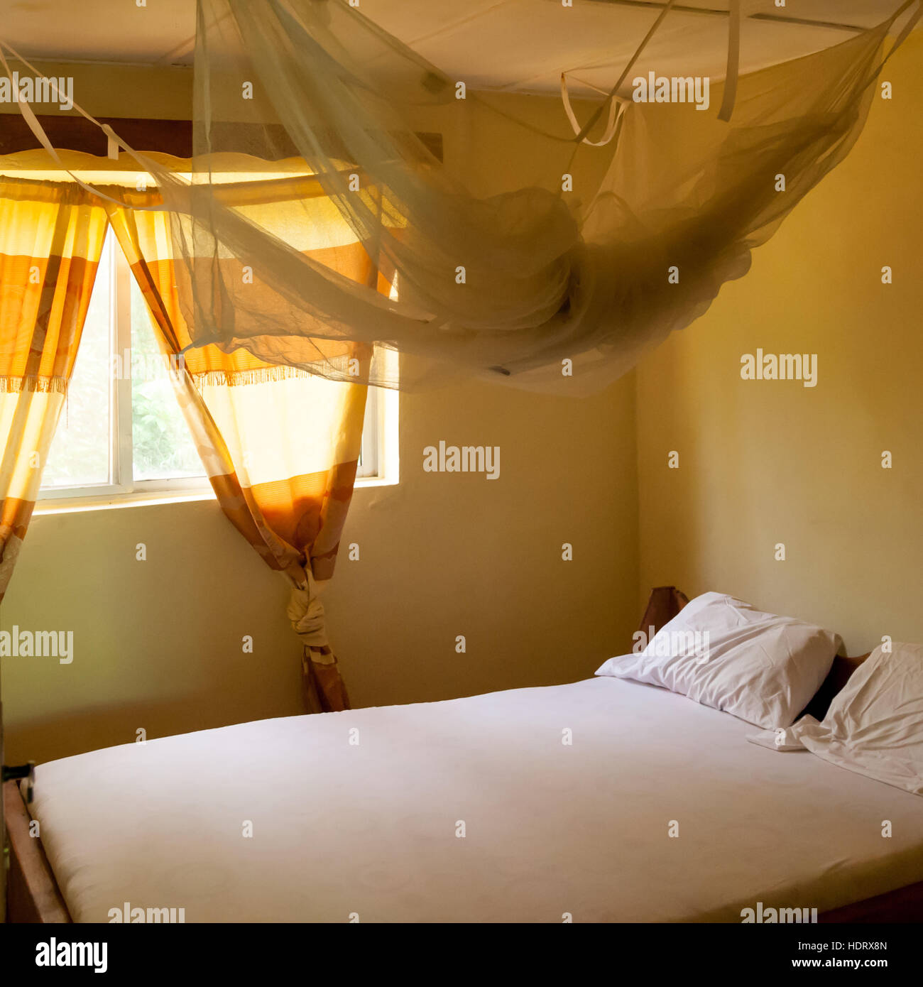 Residential mosquito treatment hi-res stock photography and images - Alamy