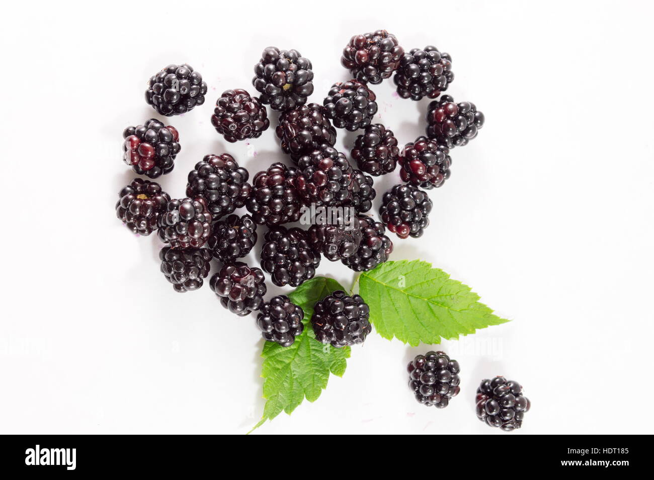 blackberries and green leaves on a white surface Stock Photo