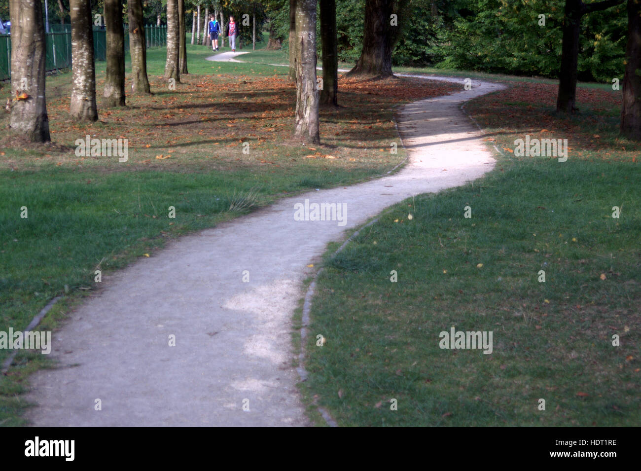 snake path in the  park woods twisting into the distance Stock Photo