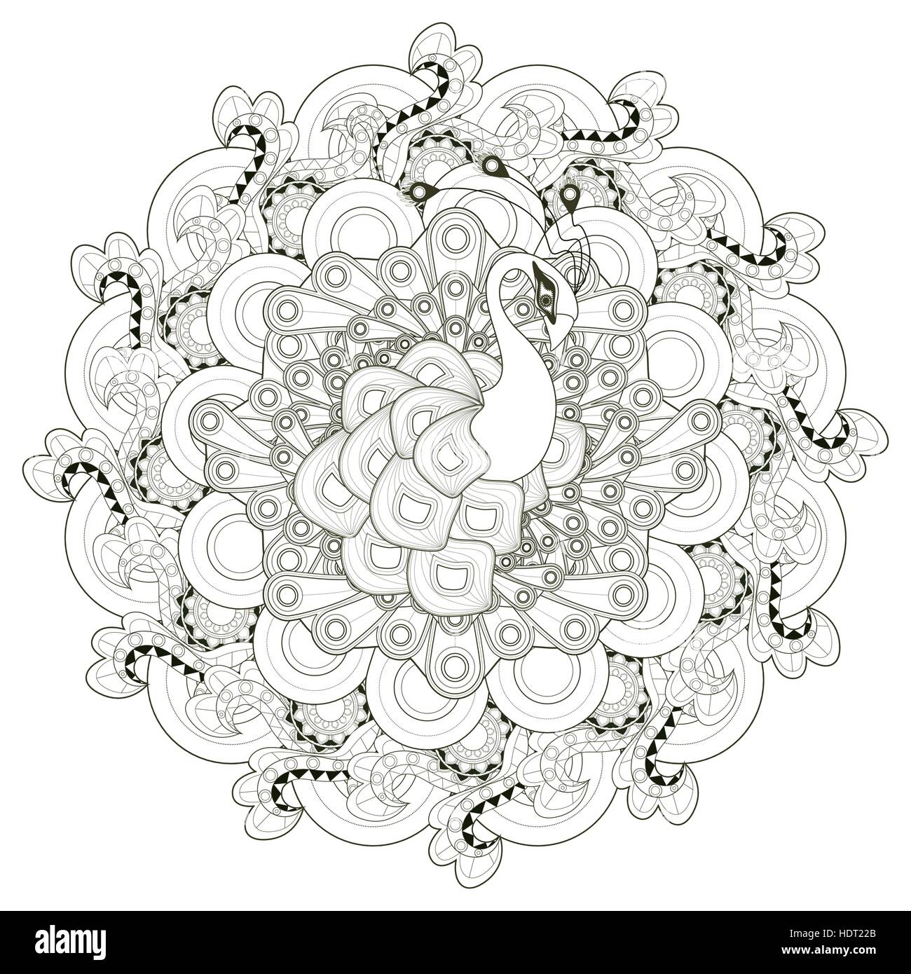 gorgeous peacock coloring page design in ethnic style Stock Vector