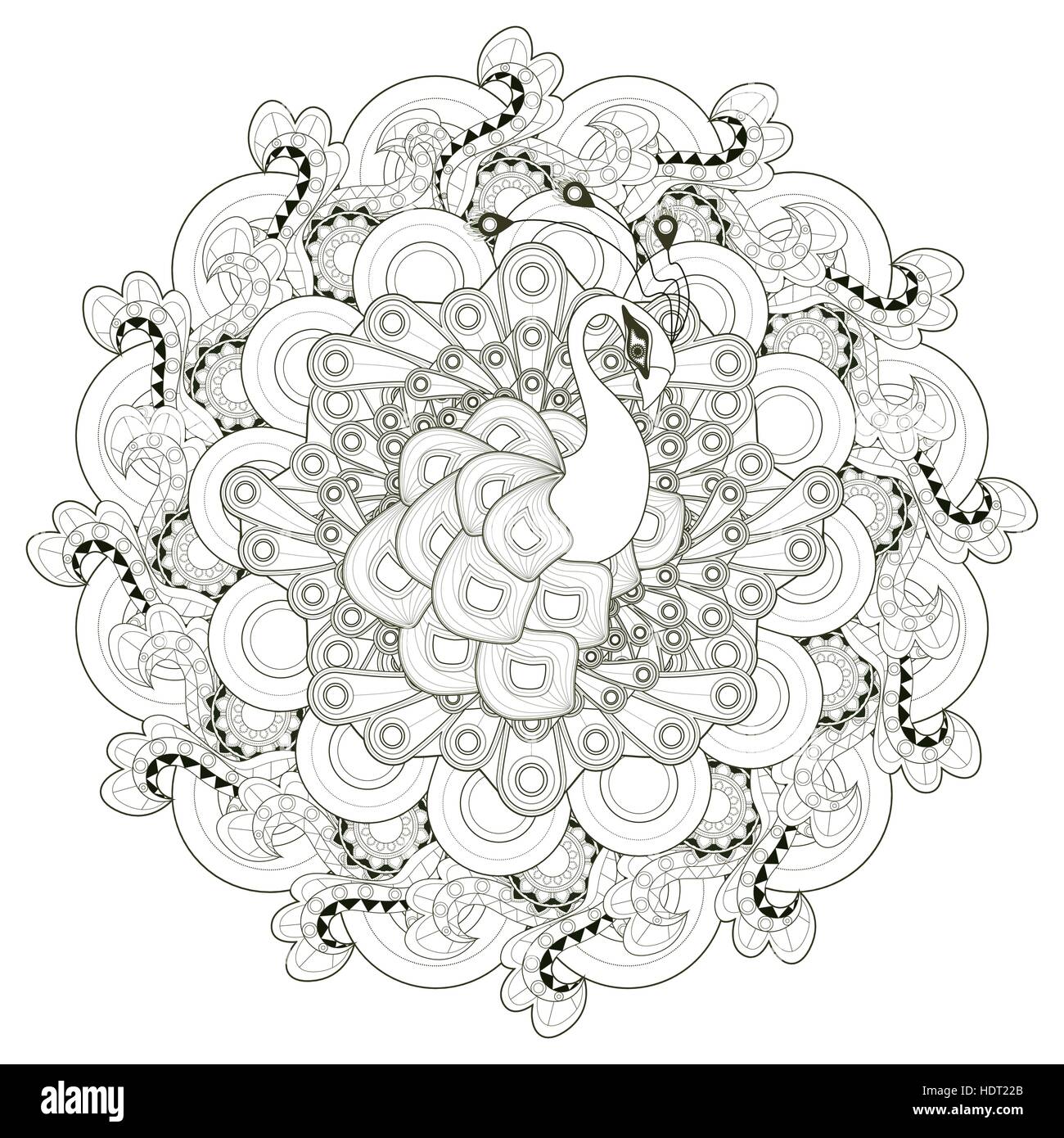 gorgeous peacock coloring page design in ethnic style Stock ...