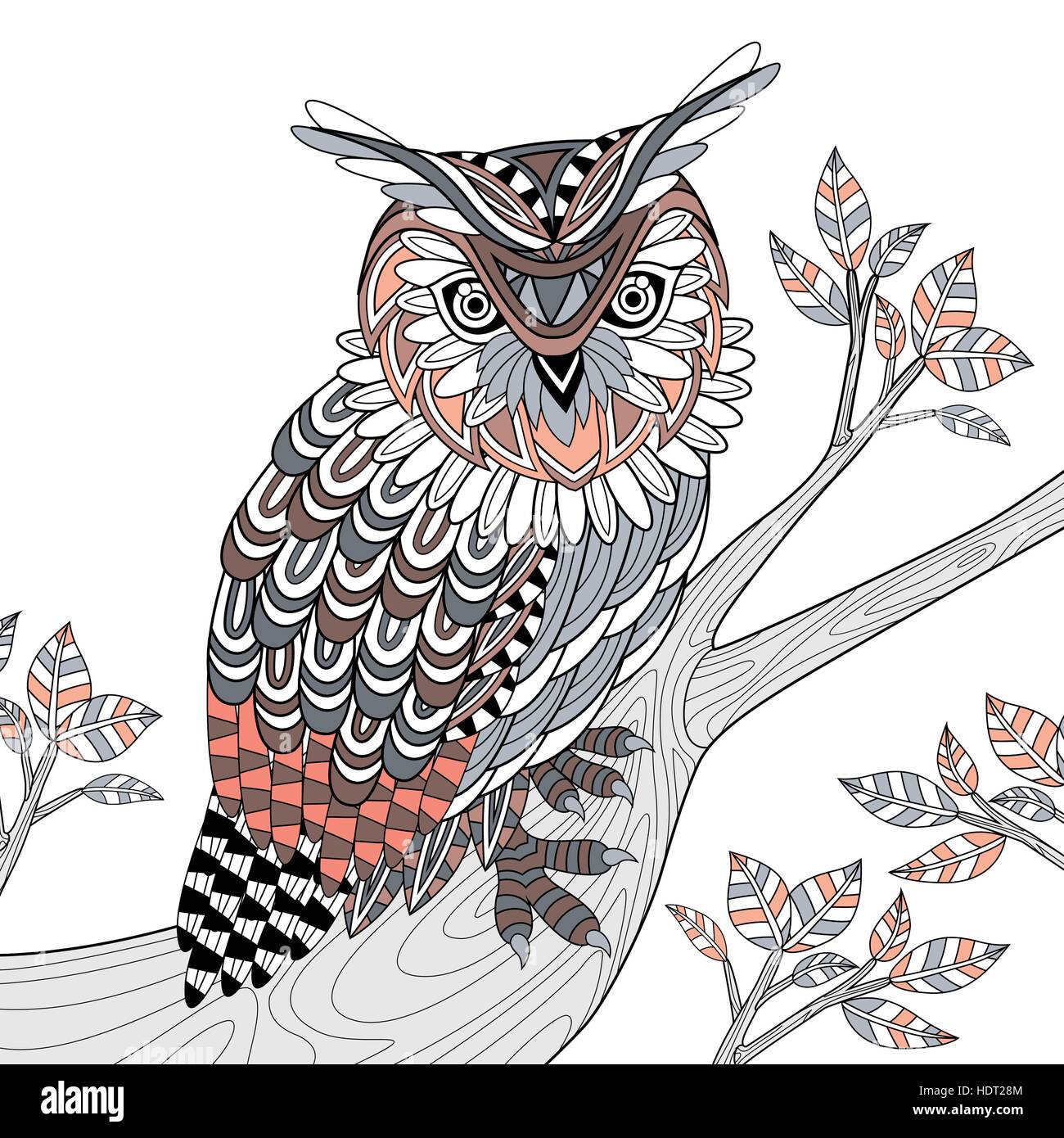 wise owl coloring page in exquisite style Stock Vector Image & Art - Alamy