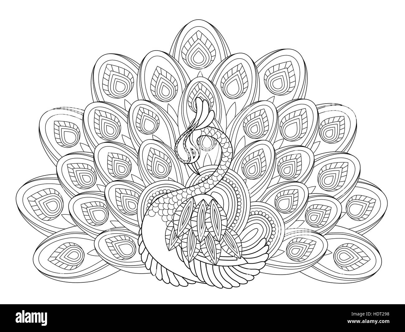 elegant peacock coloring page in exquisite style Stock Vector