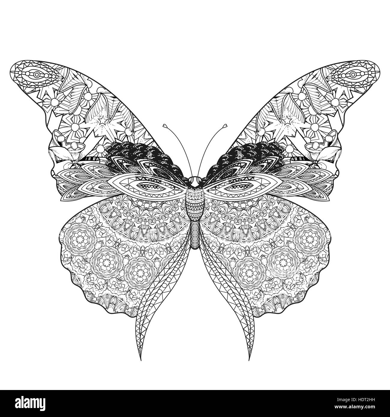 Most Beautiful Butterfly Coloring Pages - vrogue.co