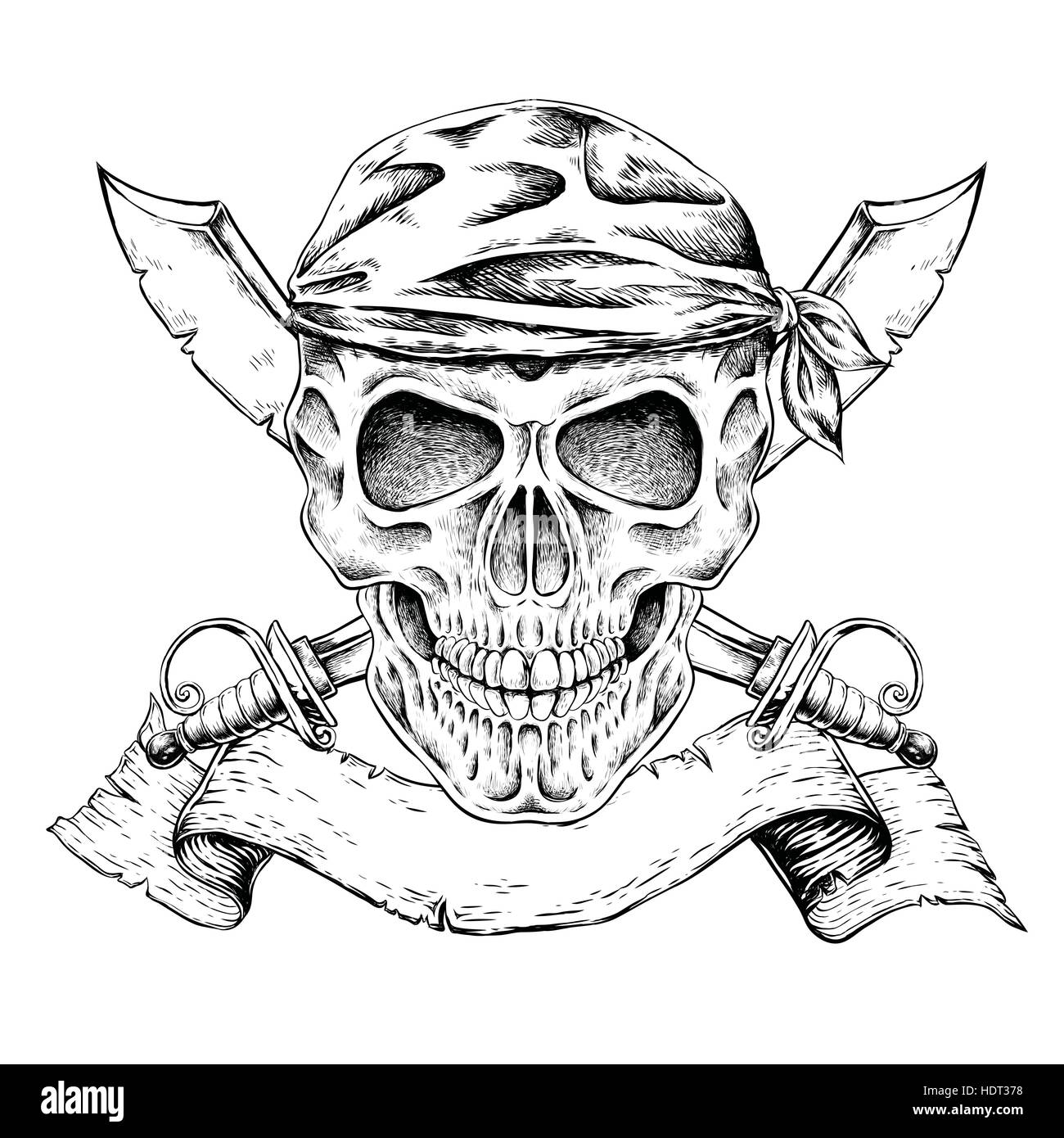 hand drawn pirate skull in exquisite style Stock Vector Image & Art Alamy