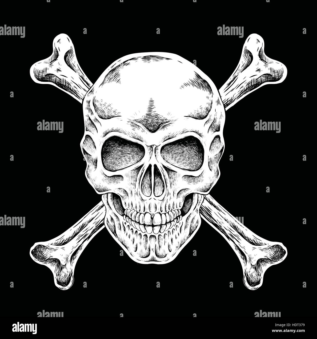 hand drawn skull in exquisite style over black background Stock Vector ...