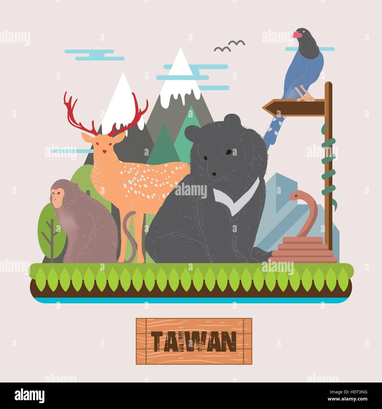 adorable Taiwan endemic species collection in flat style Stock Vector