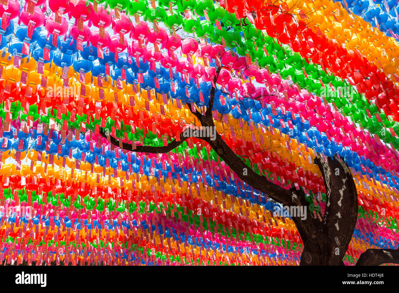 Tree and colorful paper lanterns at the Jogyesa Temple in Seoul, South