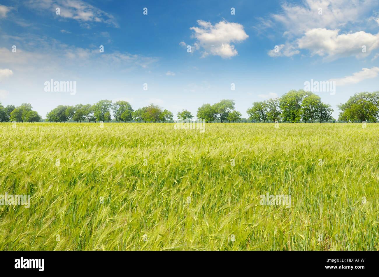green field and blue sky with clouds Stock Photo - Alamy