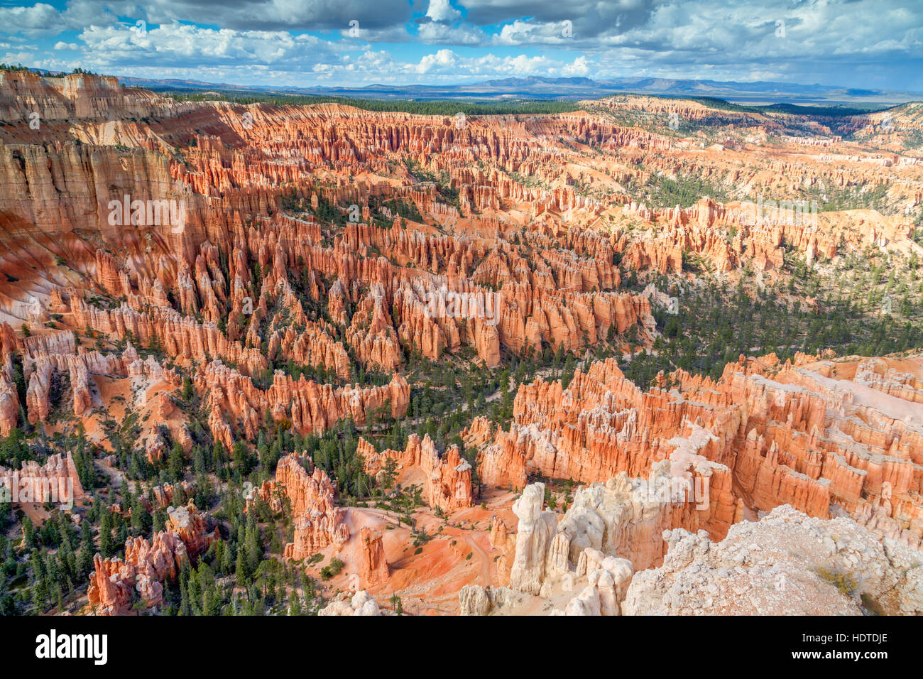 Rock formations, hoodoos or fairy chimneys, Amphitheater, Bryce Canyon National Park, Utah, USA Stock Photo