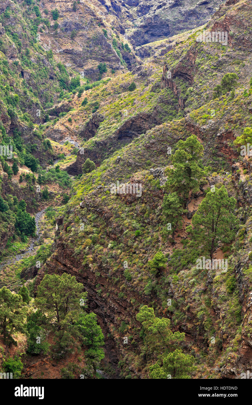 Barranco De Garome, ravine, view from Mirador de Garome, lookout point, Puntagorda, La Palma, Canary Islands, Spain Stock Photo