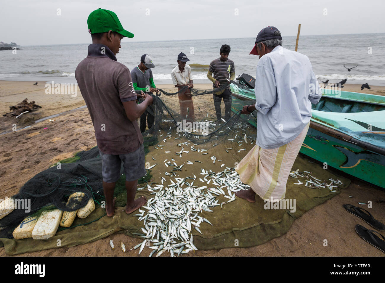 Fishermen hauling in their Seine fishing nets from the ocean onto Uppuveli  beach on the east coast of Sri Lanka in the early morning Stock Photo -  Alamy