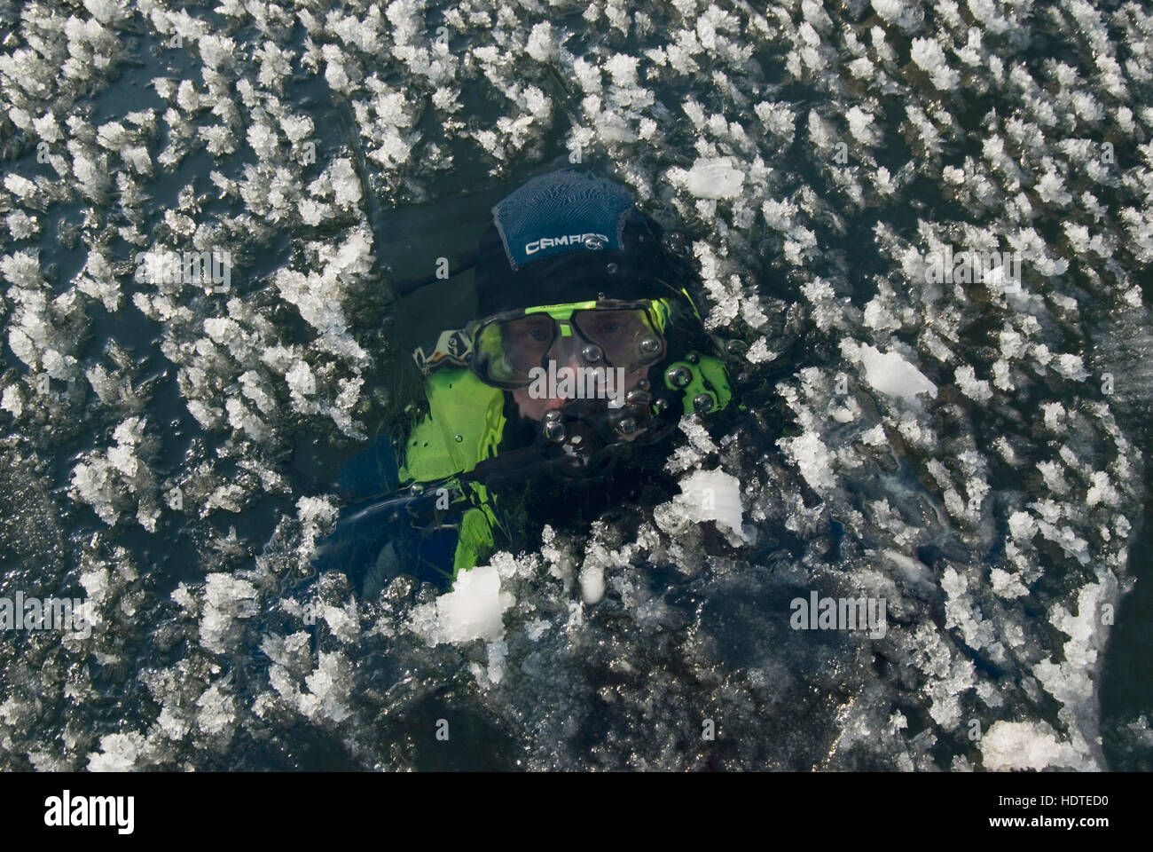 Diver under ice, Reichraming, Upper Austria, Austria, Europe Stock Photo