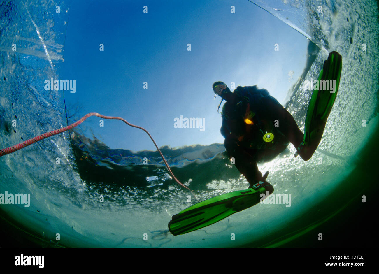 Icediving, diver sits on ice, Reichraming, Upper Austria, Austria, Europe Stock Photo