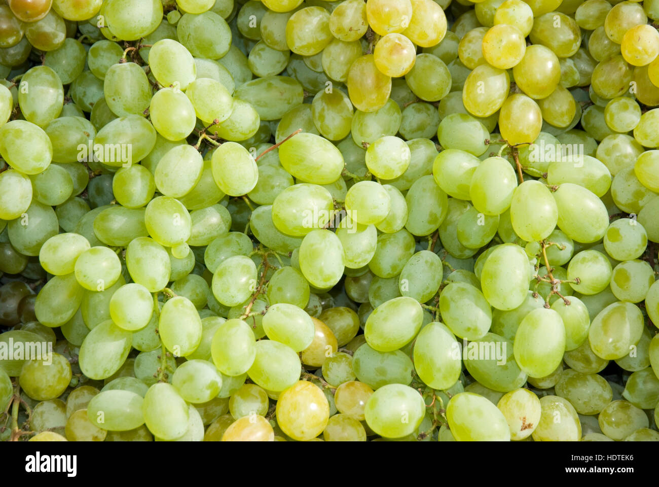 Stand of grape shot hires stock photography and images Alamy