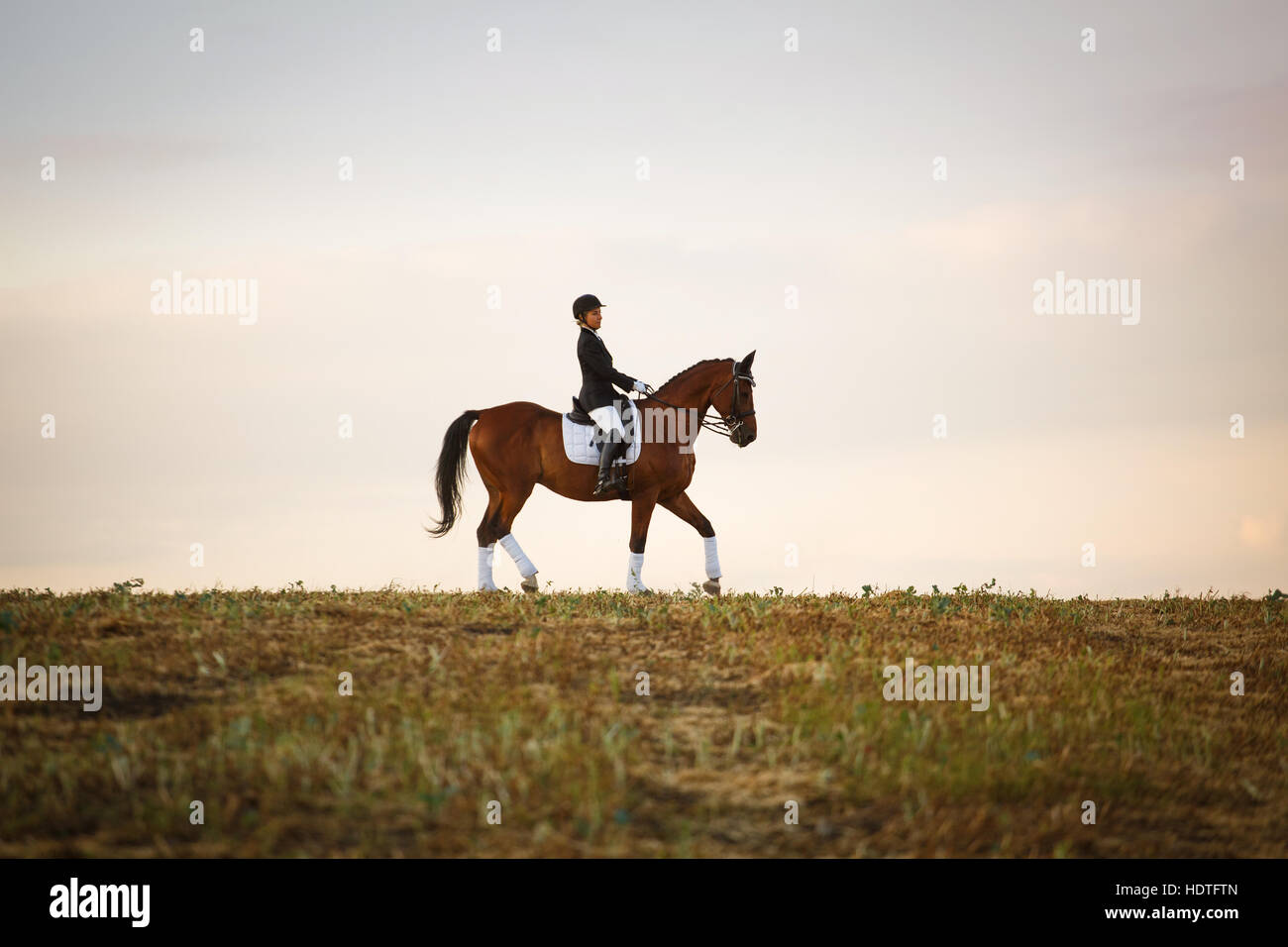 Horse rider with helmet hires stock photography and images Alamy