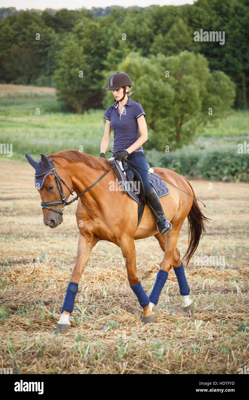 woman riding on brown horse wearing helmet Stock Photo Alamy