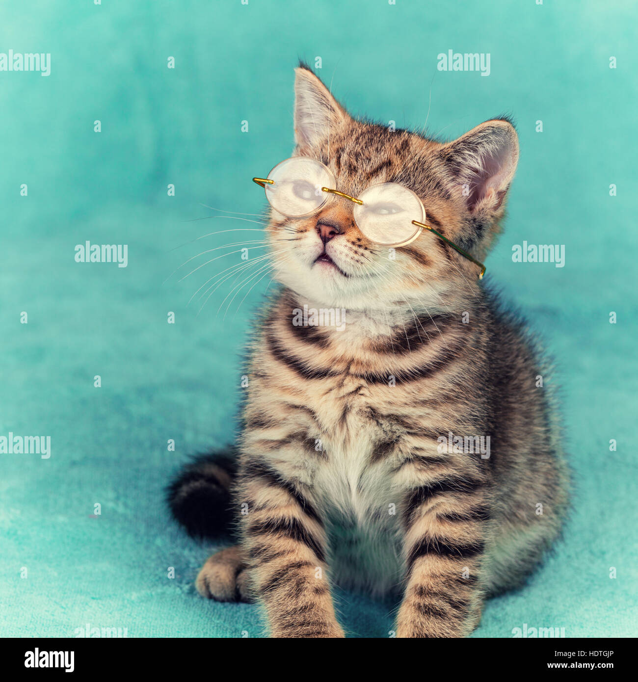 Kawaii cat hi-res stock photography and images - Alamy