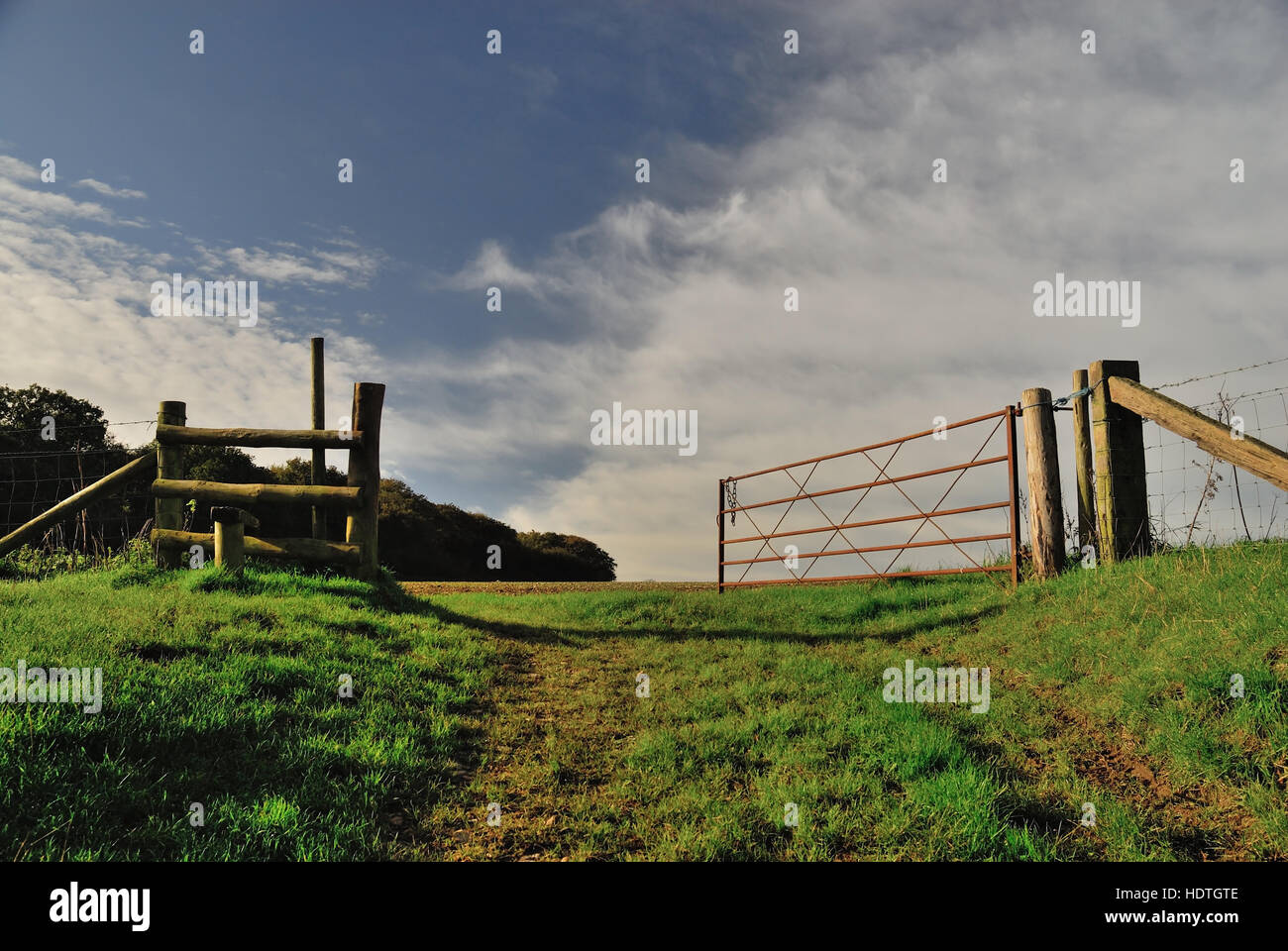 Gopher wood hires stock photography and images Alamy