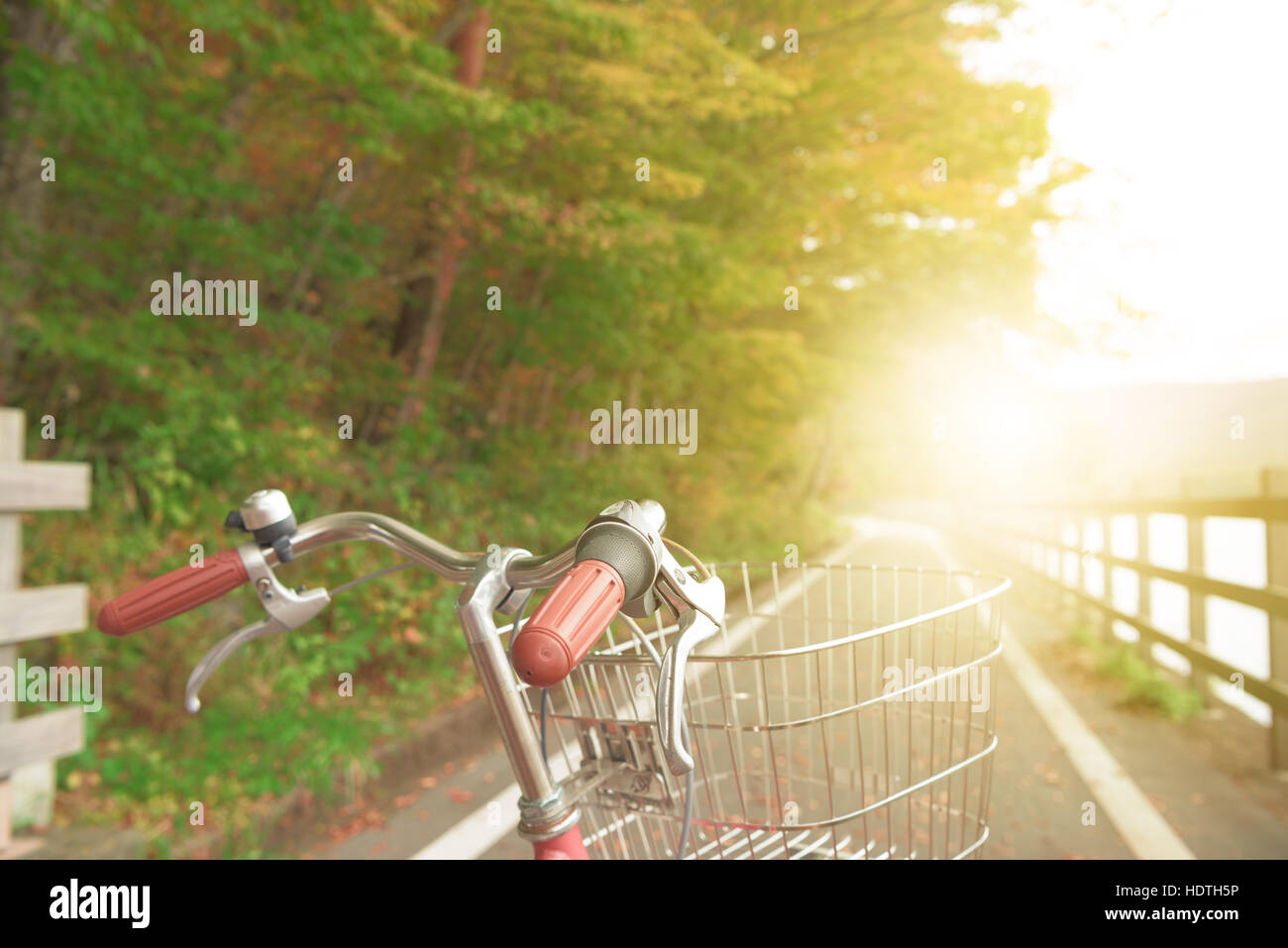 japan style bicycle focus classic vintage leather Bicycle saddle and autumn season Stock Photo