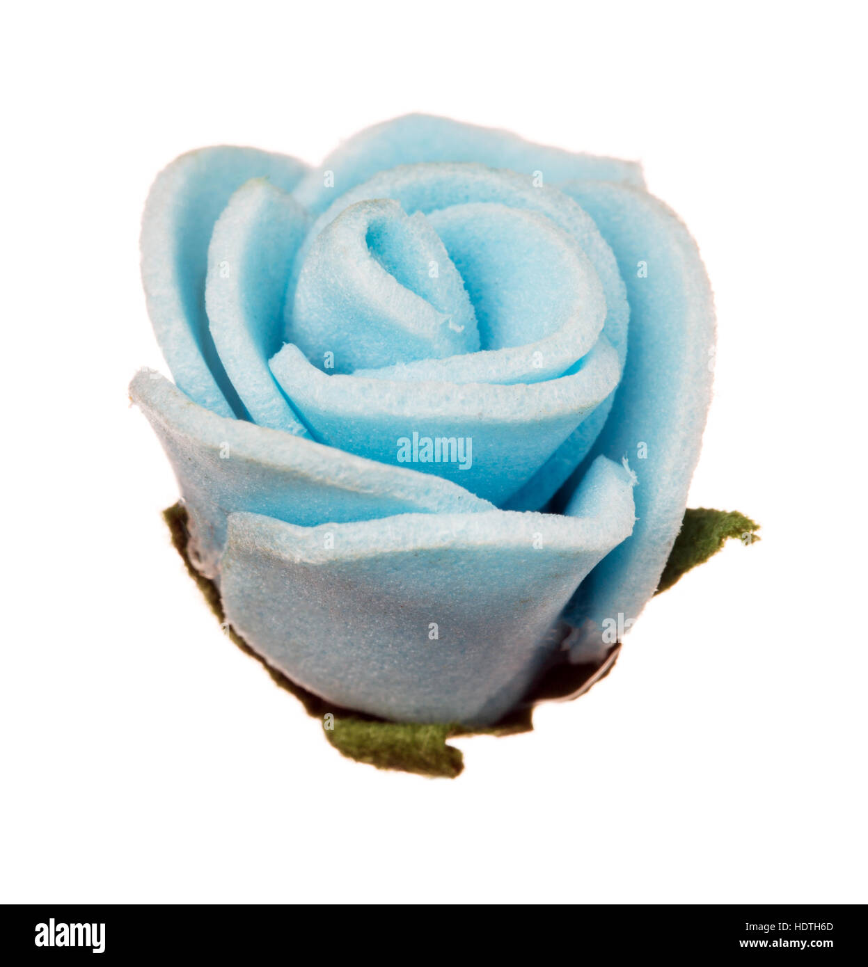 flower head isolated, beautiful decoration, spring and summer concept ...