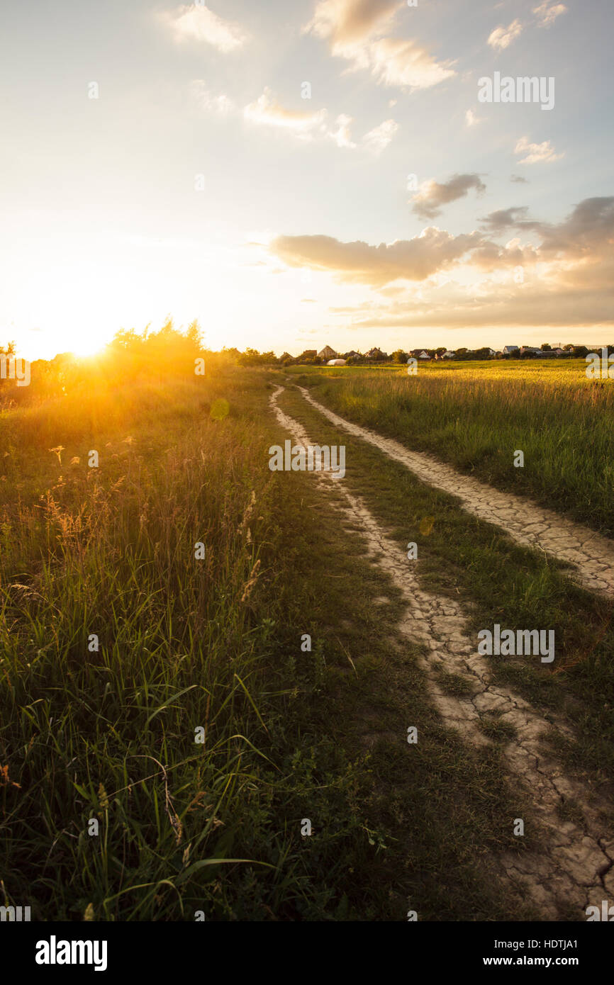 Morning Rural Vector Rural morning landscape Stock Photo - Alamy