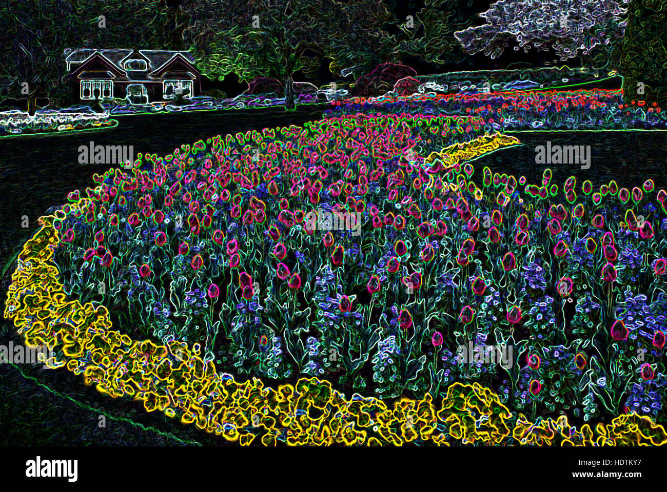 Flowers blooming in Flower Garden - Digitally Manipulated Image with Glowing Edges, Abstract Landscape on a Black Background Stock Photo