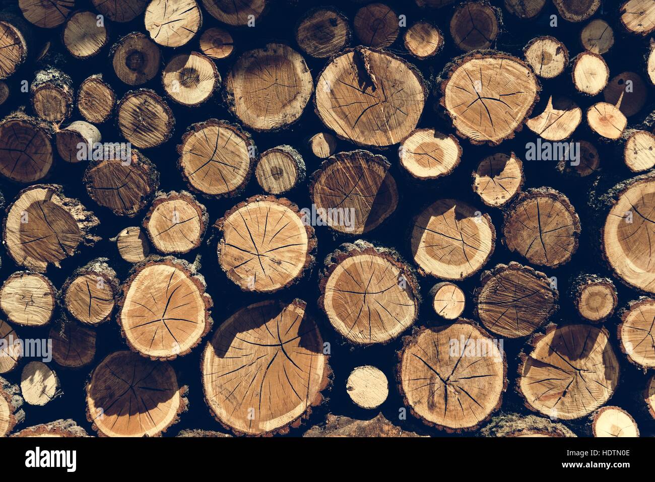 Lumber TImber Trunk Firewood Woodpile Logging Concept Stock Photo - Alamy
