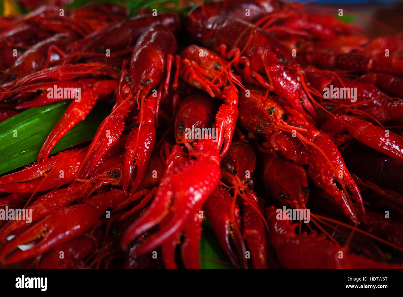 World Food Scandinavian Swedish Cray Fish Party Festivity Plate Crawfish, crawdads freshwater  Mountain  Lobsters Stock Photo