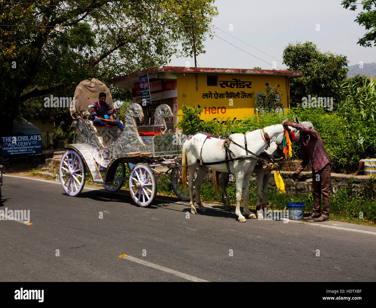 Typical decorated indian cart pulled by horses, used in special events, Kaladunghi, India Stock Photo