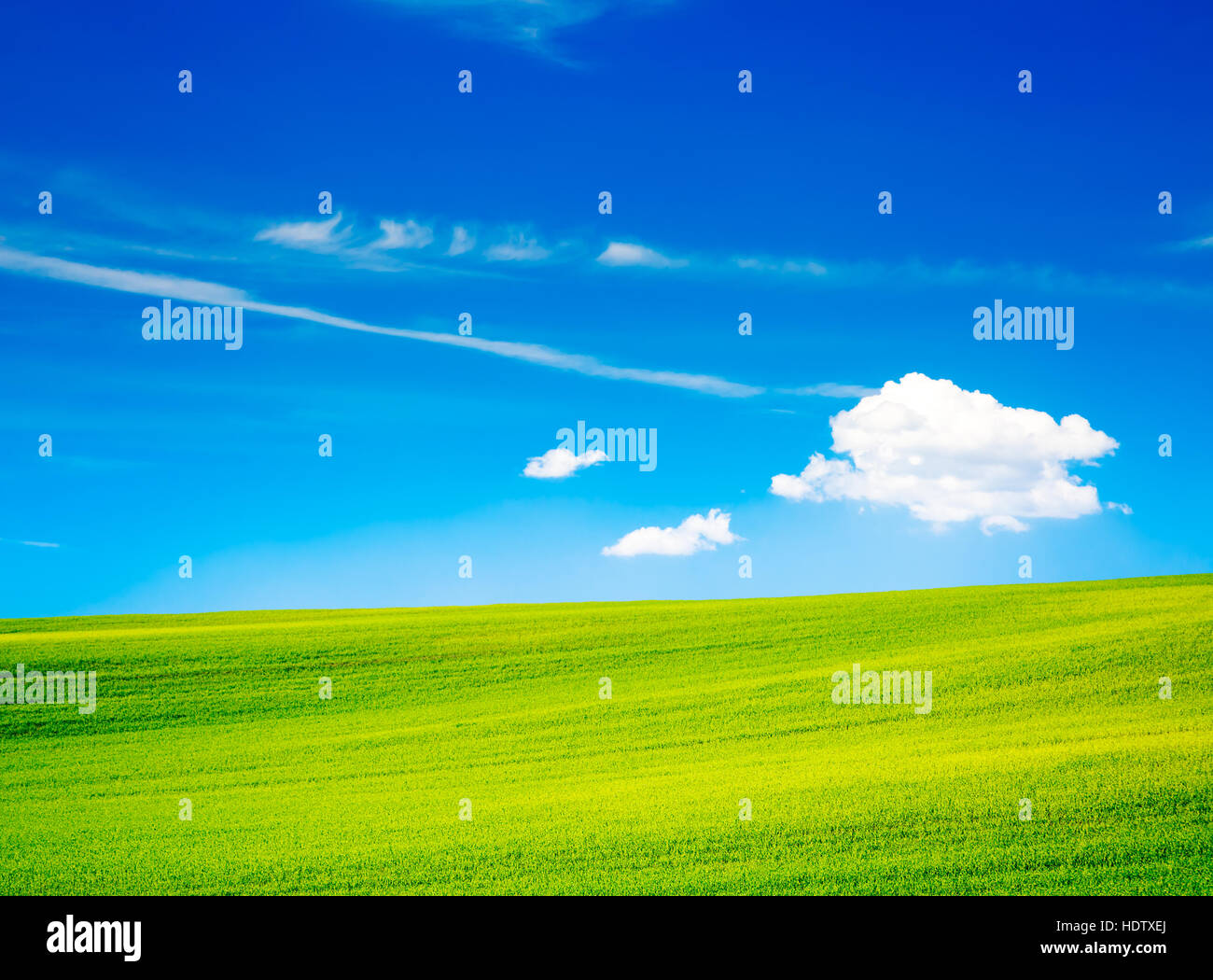 Landscape with Green Field and Blue Sky in Summer Stock Photo - Alamy