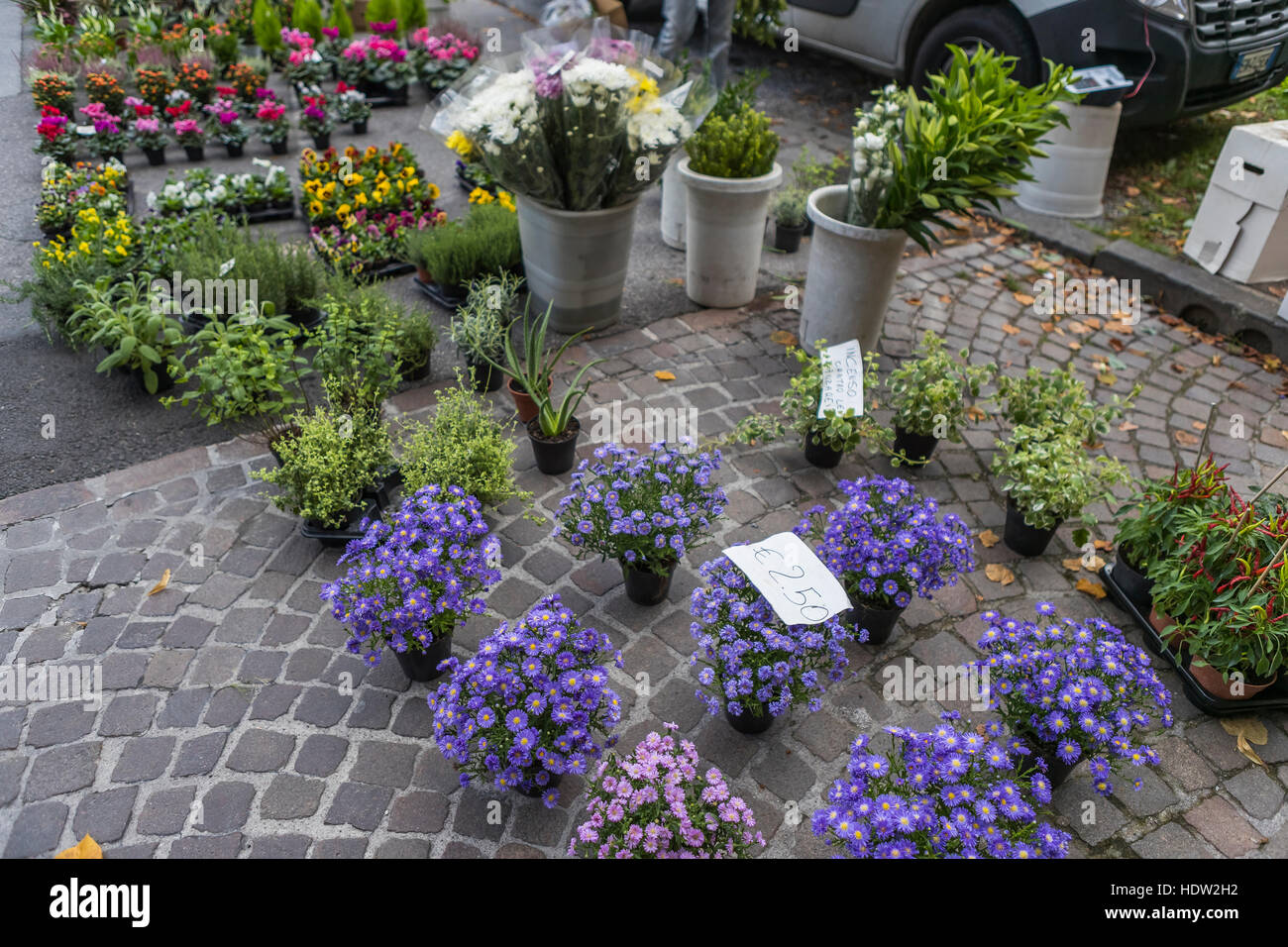 Florence street market hi-res stock photography and images - Page 9 - Alamy