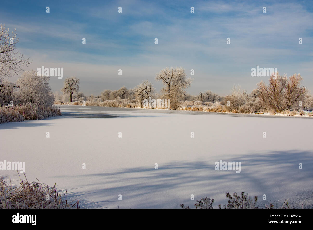 Mallard Pond in the St Vrain State Park near Firestone Colorado in the