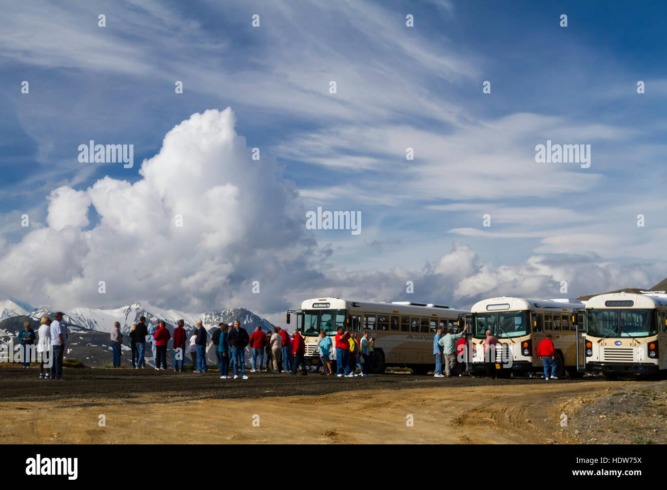 Bus loads of visitors to Denali National Park and Preserve stop at ...