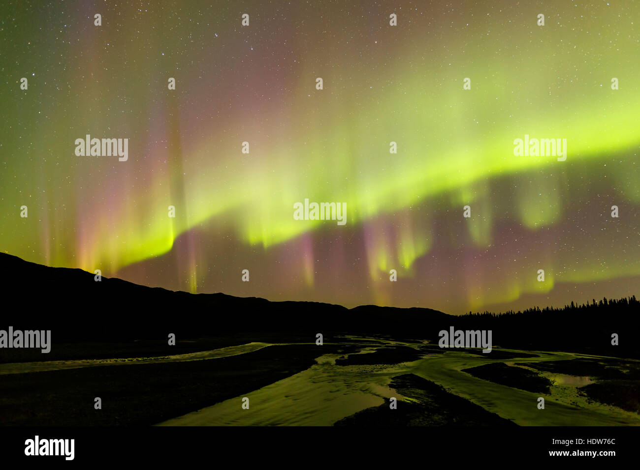 Northern Lights over Teklanika River and the Alaska Range in Denali