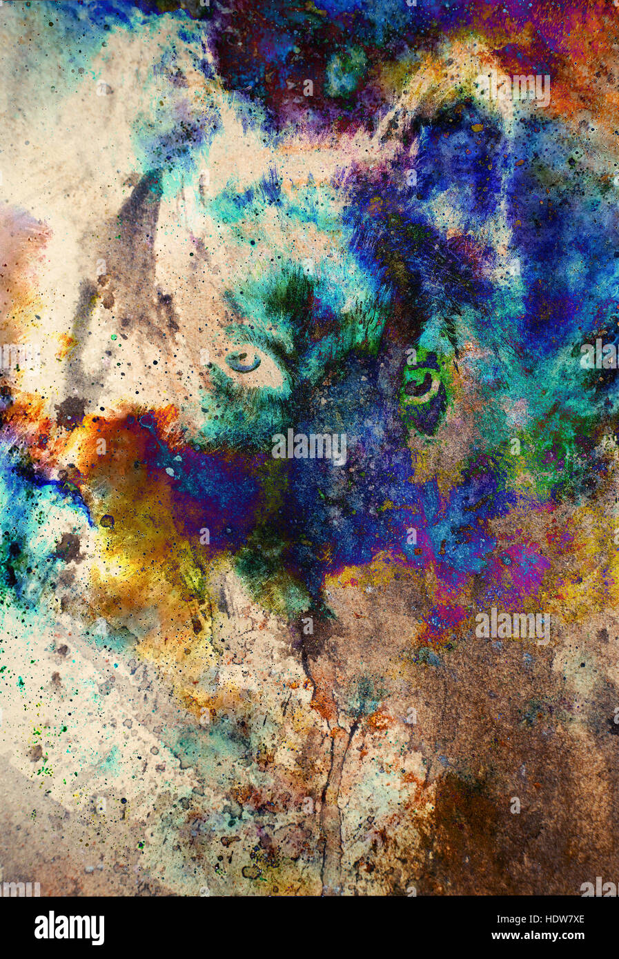 timber wolf head on abstract structured background, multicolor graphic ...