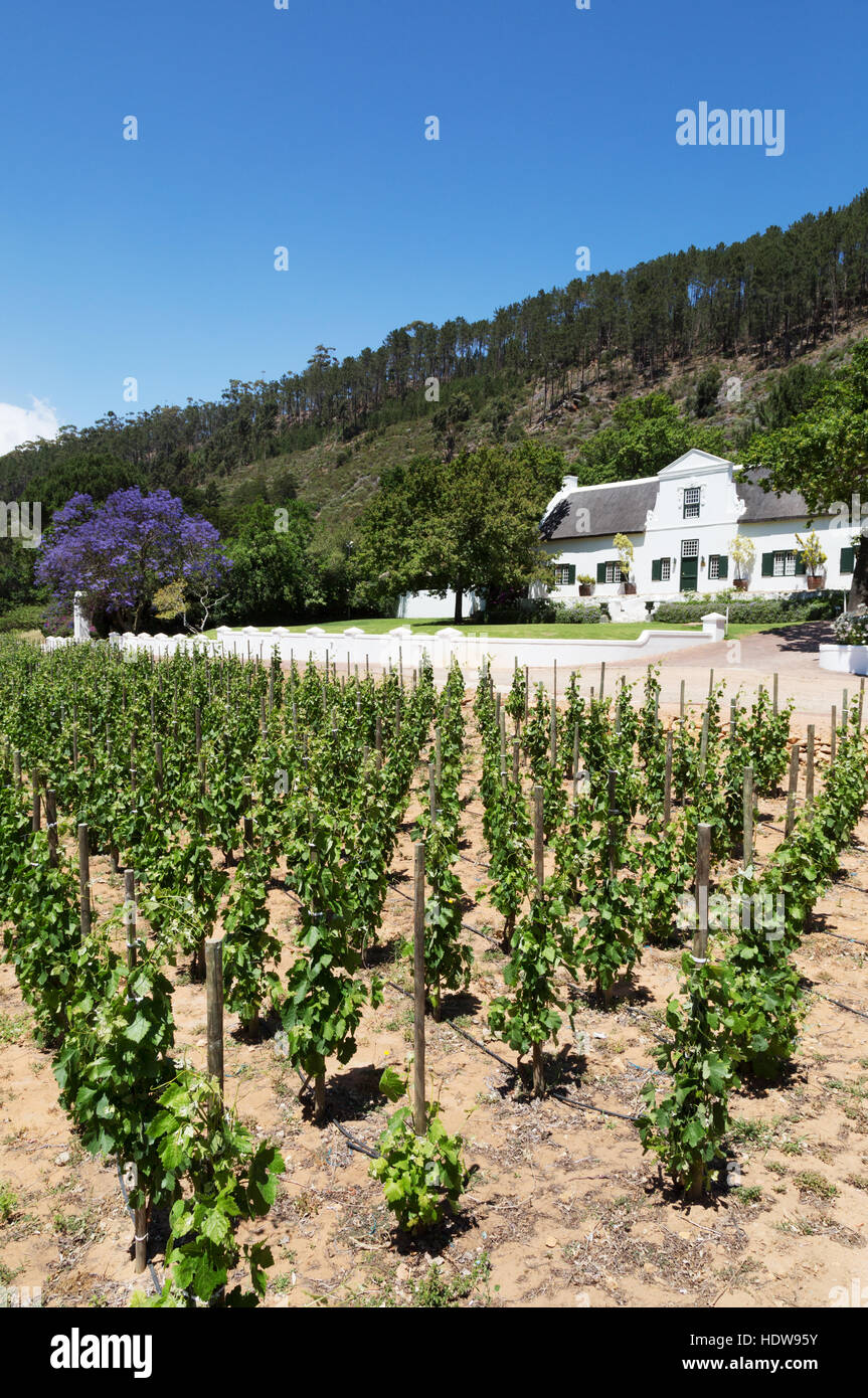 Rickety Bridge Winery, Franschhoek, the Winelands,  Western Cape, South Africa Stock Photo