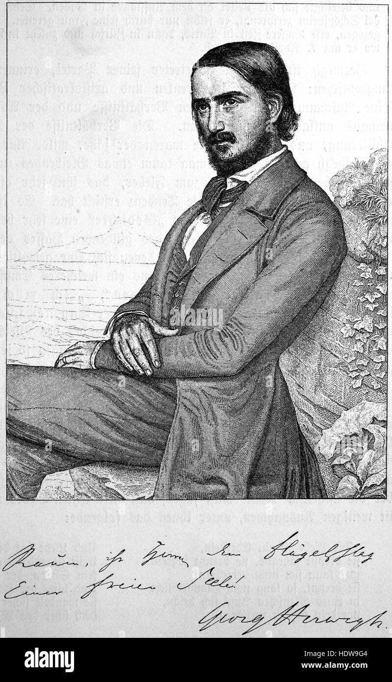 Georg Friedrich Rudolph Theodor Herwegh, 1817-1875, a German poet, woodcut from the year 1880 Stock Photo