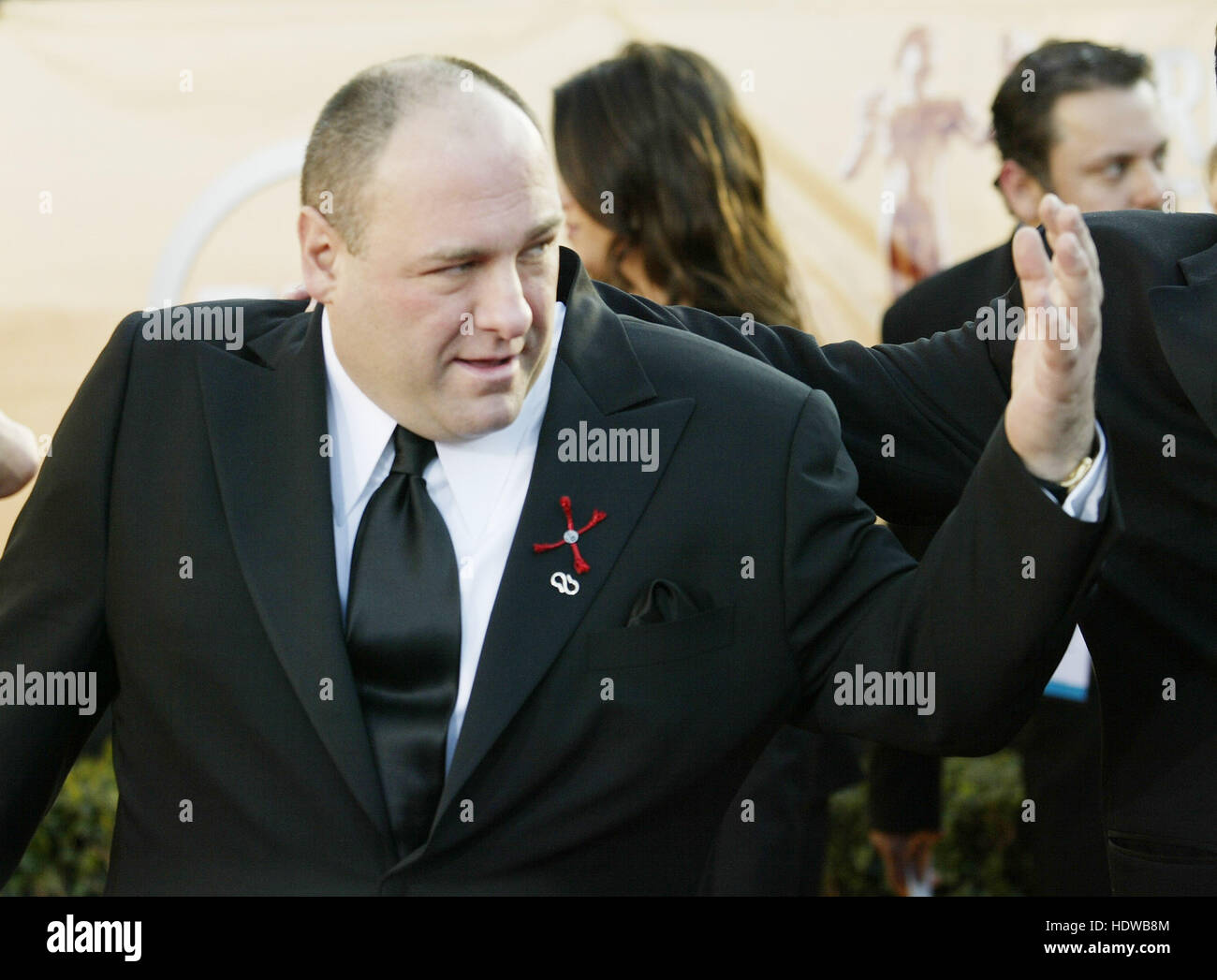 James Gandolfini at the Screen Actors Guild Awards in Los Angeles on