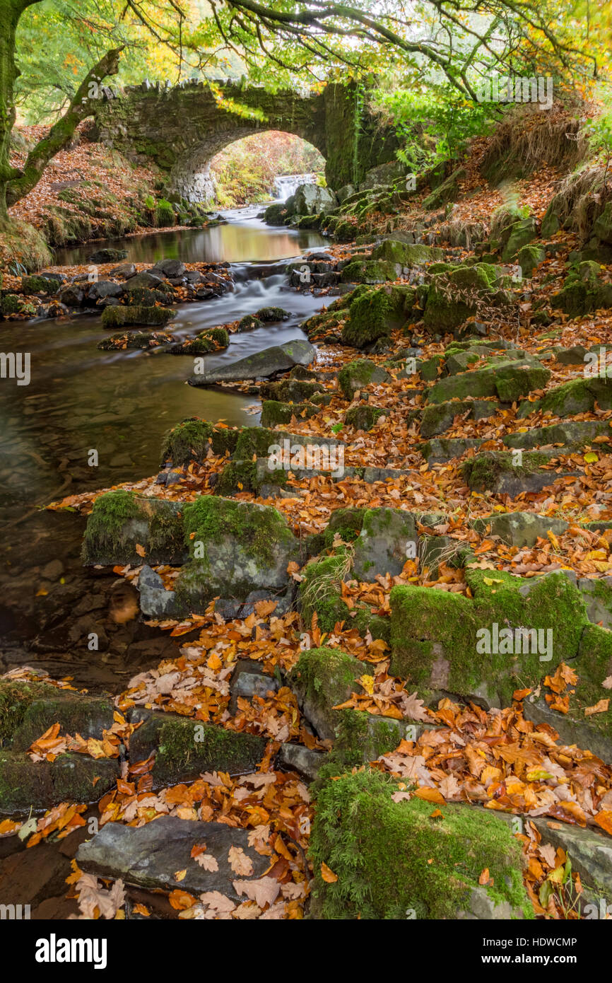 Autumn at Robber's Bridge, Doone Valley, Exmoor National Park, Devon, England, UK Stock Photo