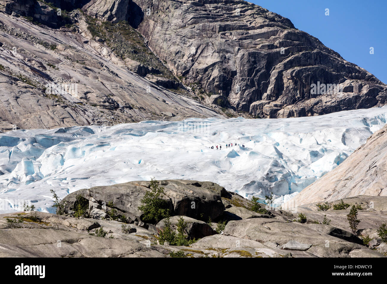 Tourist Glacier hiking in Nigardsbreen glacier, Jostedalsbreen glacier