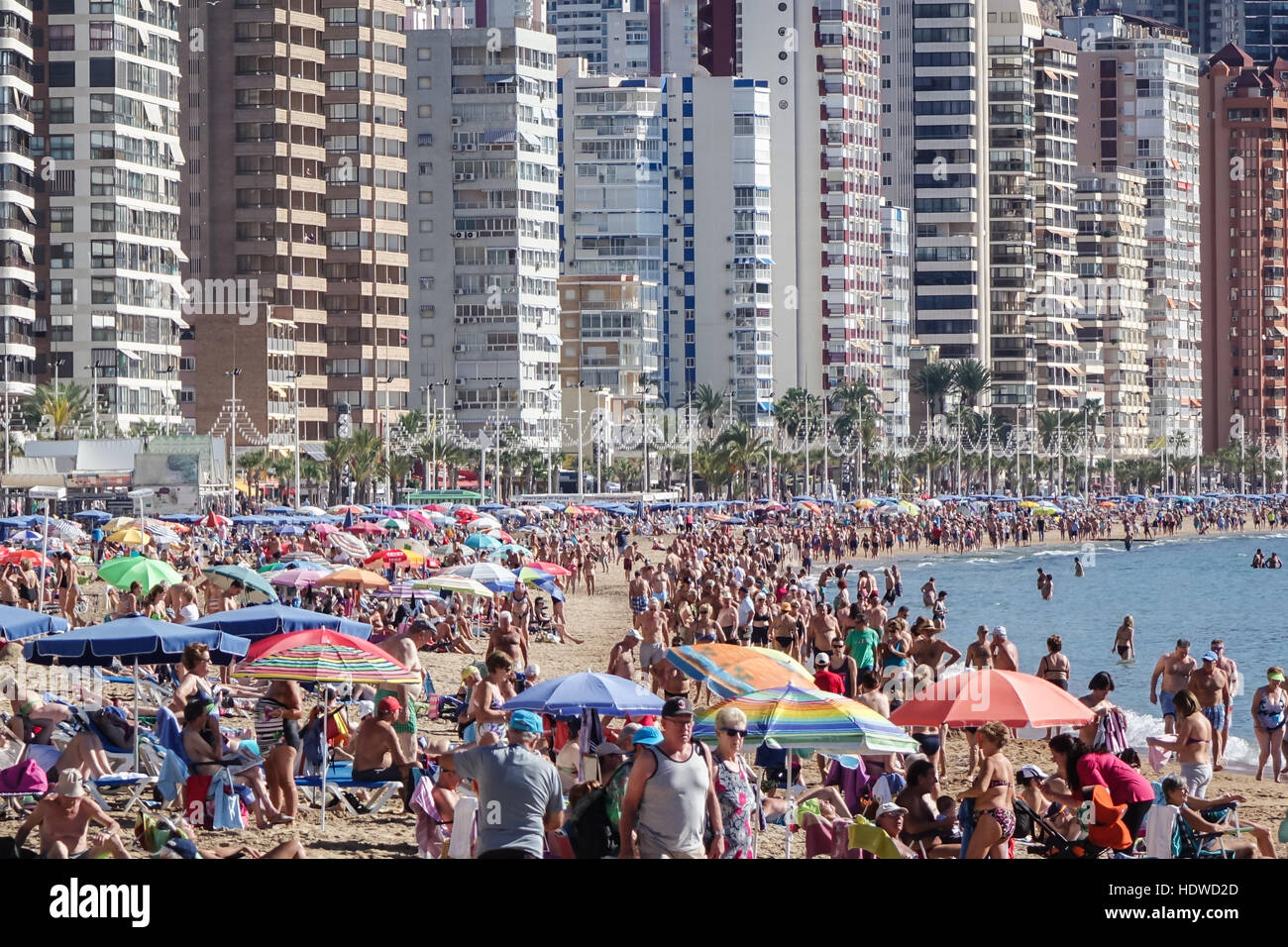 Crowded beach scene with mainly elderly men and women relaxing or exercising on the shoreline with skyscrapers in back Stock Photo